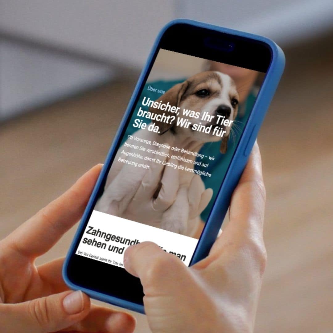 Responsive design damit auf allen Bildschirmgrössen die Webseite korrekt angezeigt wird.