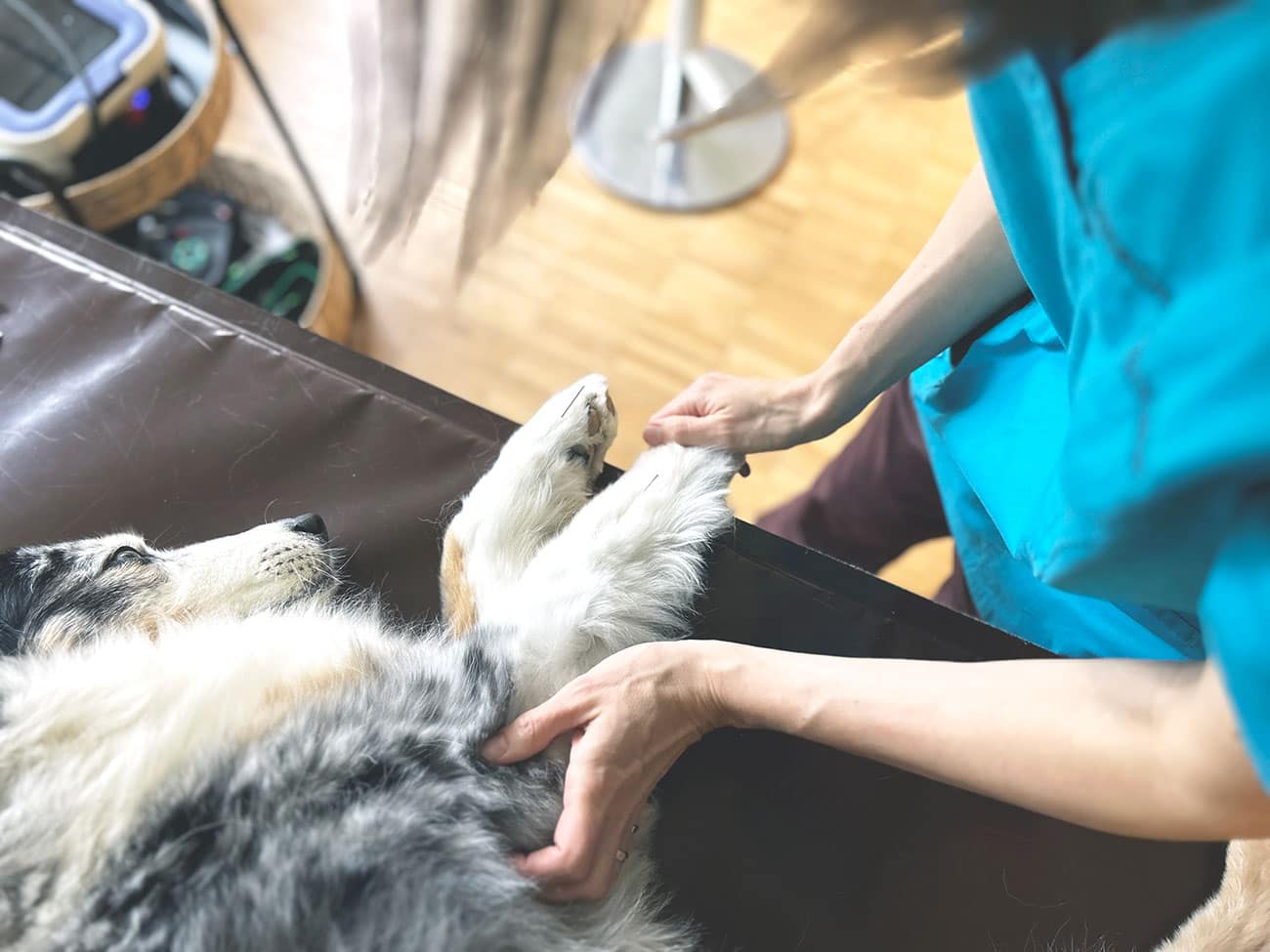 Fotoaufnahmen in der Praxis