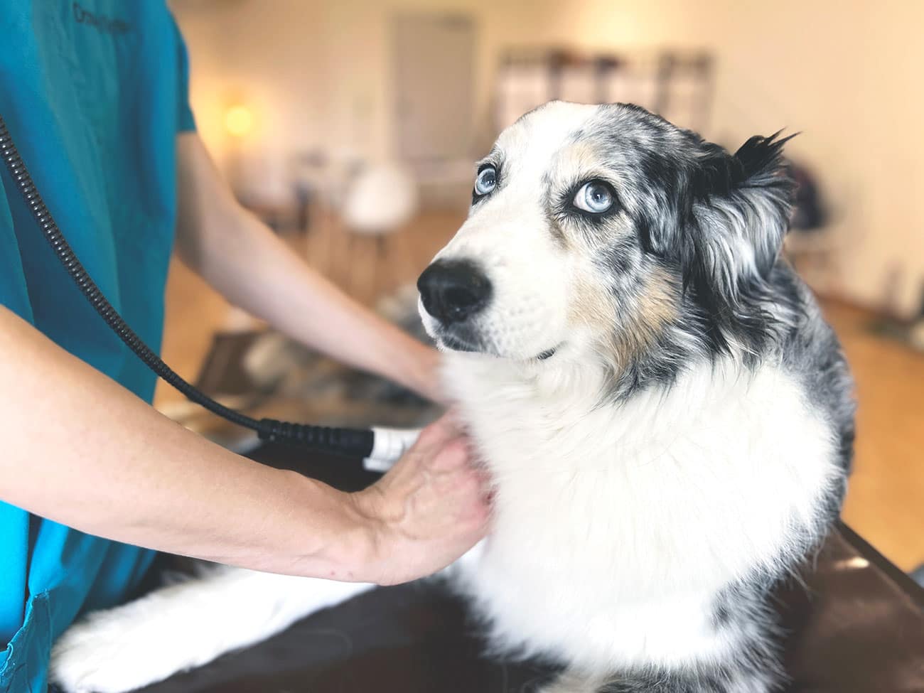 Fotoaufnahmen in der Praxis