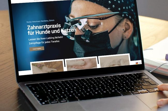 Webdesign Tierzahnäztin Affoltern am Albis. Startseite mit modernem Layout.